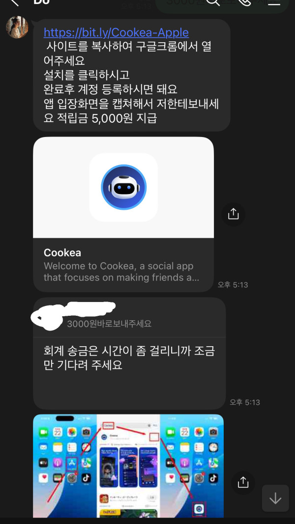 이거 사이트 보이스피싱 사이인지 알려주세요ㅠ 인스타부업202503021735484617